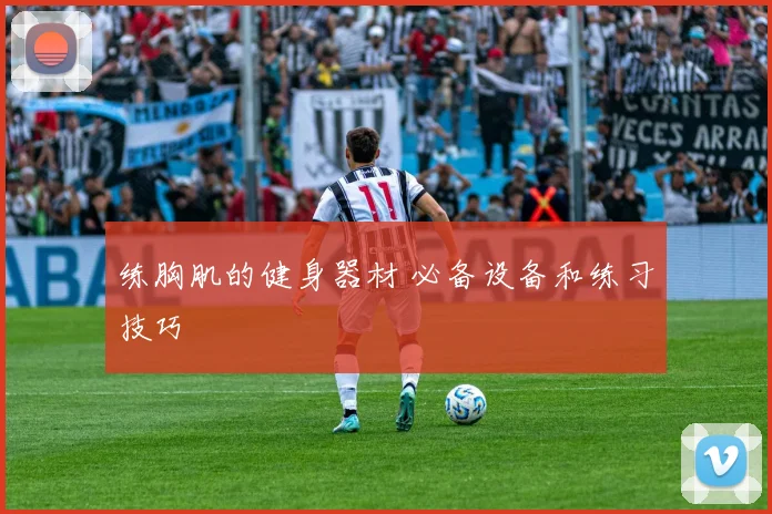 练胸肌的健身器材 必备设备和练习技巧